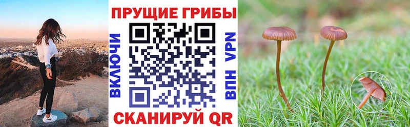 закладка Билибино Галлюциногенные грибы мухоморы
